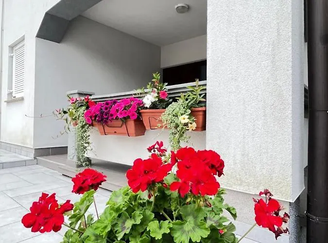 Alena Apartment