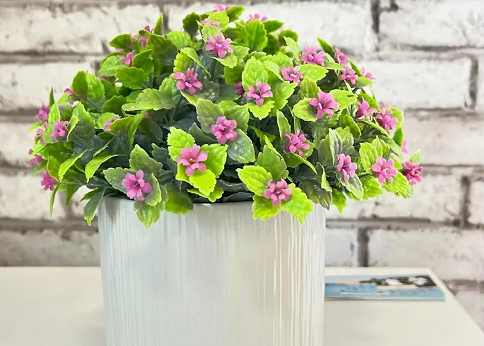 Апартаменты Alena *